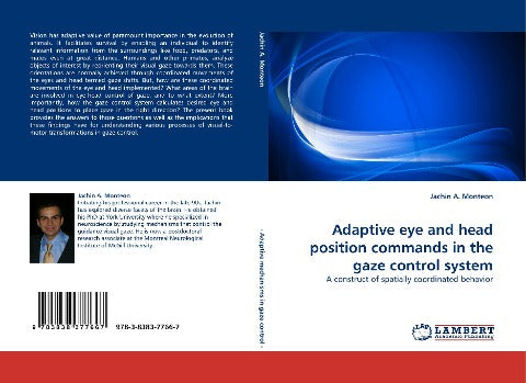 Adaptive eye and head position commands in the gaze control system