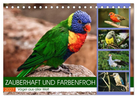 Zauberhaft und farbenfroh (Tischkalender 2027 DIN A5 quer), CALVENDO Monatskalender