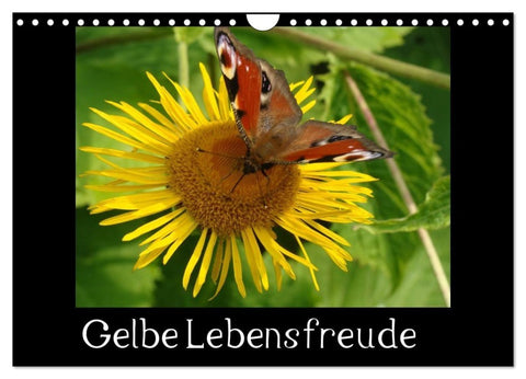 Gelbe Lebensfreude (Wandkalender 2027 DIN A4 quer), CALVENDO Monatskalender