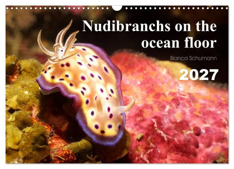 Nudibranchs on the ocean floor (Wall Calendar 2027 DIN A3 landscape), CALVENDO 12 Month Wall Calendar