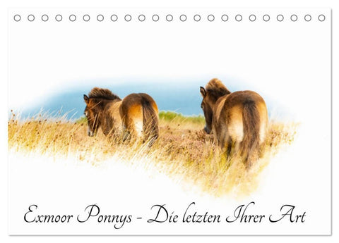 Exmoor Ponnys - Die letzten Ihrer Art (Tischkalender 2027 DIN A5 quer), CALVENDO Monatskalender