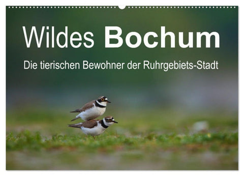 Wildes Bochum (Wandkalender 2027 DIN A2 quer), CALVENDO Monatskalender