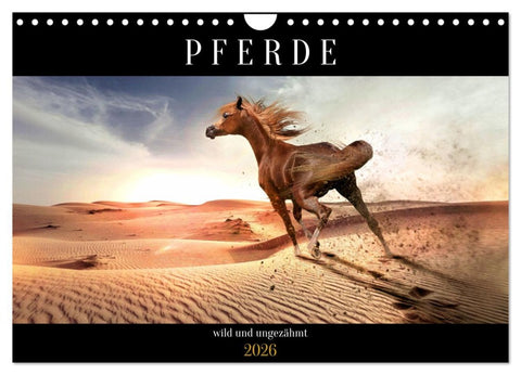 Pferde - wild und ungezähmt (Wandkalender 2026 DIN A4 quer), CALVENDO Monatskalender