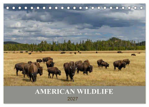 American Wildlife (Tischkalender 2027 DIN A5 quer), CALVENDO Monatskalender