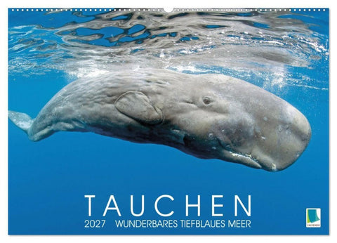 Tauchen: Wunderbares tiefblaues Meer (Wandkalender 2027 DIN A2 quer), CALVENDO Monatskalender