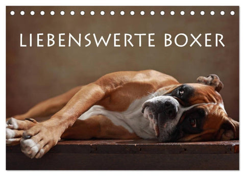Liebenswerte Boxer (Tischkalender 2027 DIN A5 quer), CALVENDO Monatskalender