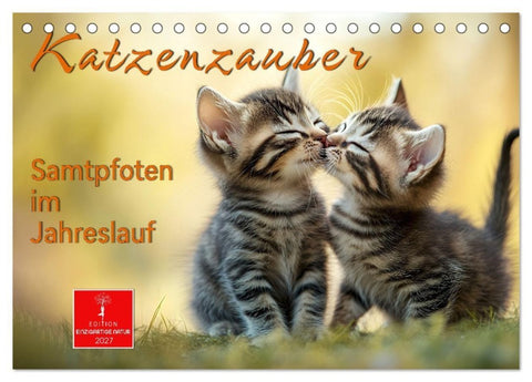 Katzenzauber - Samtpfoten im Jahreslauf (Tischkalender 2027 DIN A5 quer), CALVENDO Monatskalender