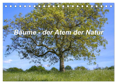 Bäume, der Atem der Natur (Tischkalender 2027 DIN A5 quer), CALVENDO Monatskalender
