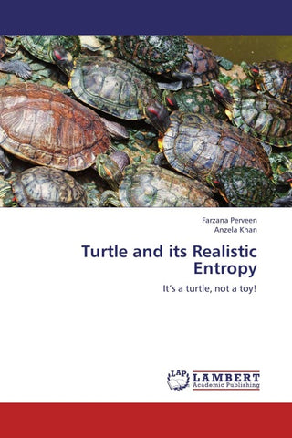 Turtle and its Realistic Entropy