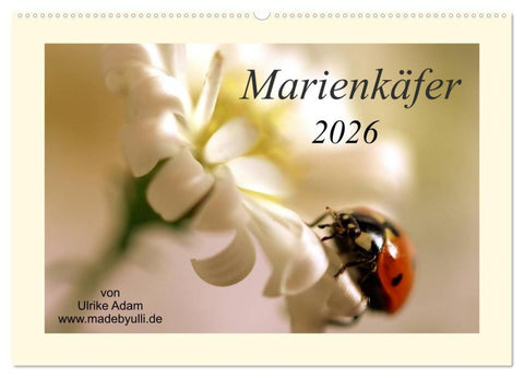 Marienkäfer / 2026 (Wandkalender 2026 DIN A2 quer), CALVENDO Monatskalender