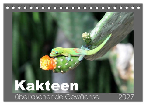 Kakteen - überraschende Gewächse (Tischkalender 2027 DIN A5 quer), CALVENDO Monatskalender