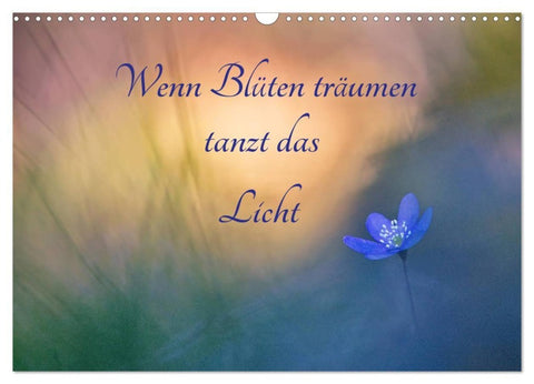 Wenn Blüten träumen tanzt das Licht (Wandkalender 2027 DIN A3 quer), CALVENDO Monatskalender