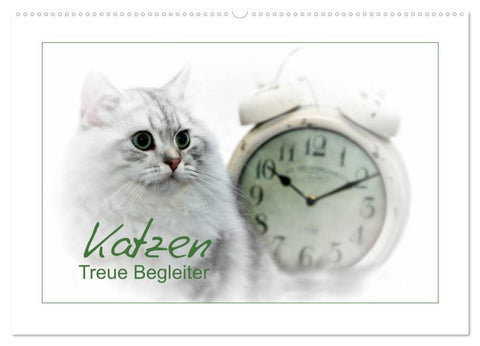 Katzen - Treue Begleiter (CH - Version) (Wandkalender 2026 DIN A2 quer), CALVENDO Monatskalender