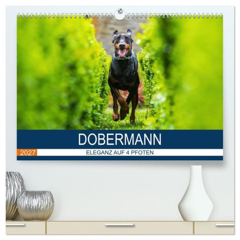 Dobermann 2027 (hochwertiger Premium Wandkalender 2027 DIN A2 quer), Kunstdruck in Hochglanz