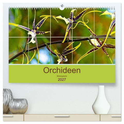 Orchideen Bildergalerie (hochwertiger Premium Wandkalender 2027 DIN A2 quer), Kunstdruck in Hochglanz