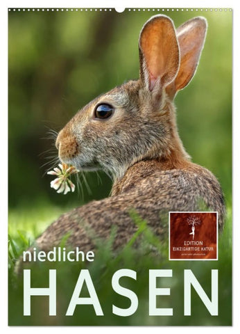 Niedliche Hasen (Wandkalender 2026 DIN A2 hoch), CALVENDO Monatskalender