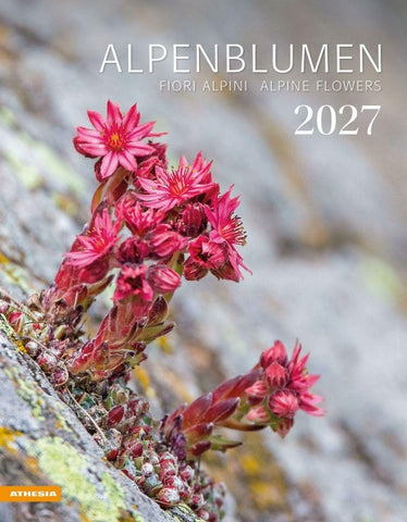 Alpenblumen Kalender 2027