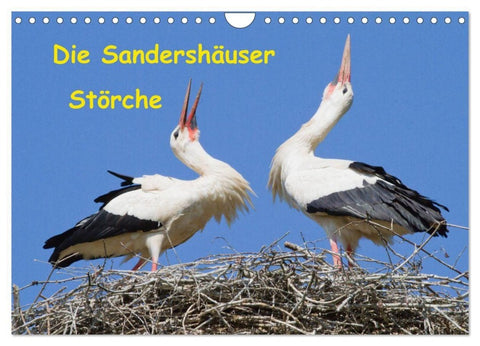 Die Sandershäuser Störche (Wandkalender 2027 DIN A4 quer), CALVENDO Monatskalender