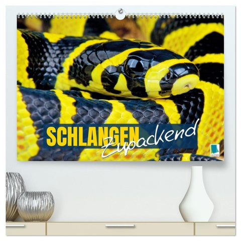 Schlangen: Zupackend (hochwertiger Premium Wandkalender 2027 DIN A2 quer), Kunstdruck in Hochglanz