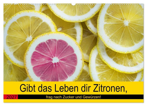 Gibt das Leben dir Zitronen, frag nach Zucker und Gewürzen! (Wandkalender 2027 DIN A2 quer), CALVENDO Monatskalender