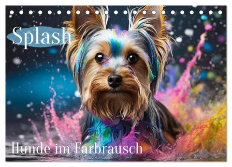 Splash - Hunde im Farbrausch (Tischkalender 2027 DIN A5 quer), CALVENDO Monatskalender