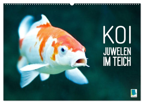 Koi: Juwelen im Teich (Wandkalender 2027 DIN A2 quer), CALVENDO Monatskalender