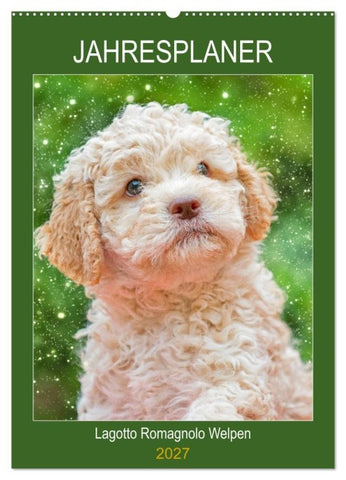 Jahresplaner Lagotto Romagnolo Welpen (Wandkalender 2027 DIN A2 hoch), CALVENDO Monatskalender