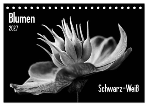 Blumen 2027, Schwarz-Weiß (Tischkalender 2027 DIN A5 quer), CALVENDO Monatskalender
