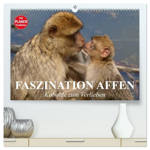 Faszination Affen. Kobolde zum Verlieben (hochwertiger Premium Wandkalender 2026 DIN A2 quer), Kunstdruck in Hochglanz