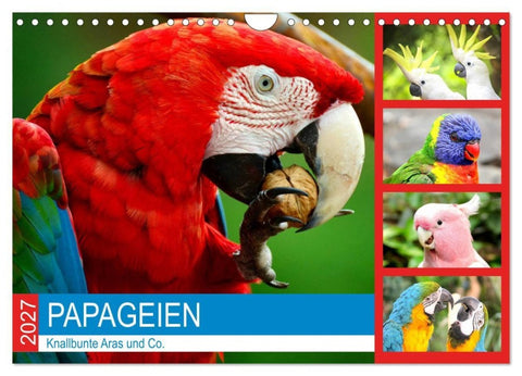 Papageien. Knallbunte Aras und Co. (Wandkalender 2027 DIN A4 quer), CALVENDO Monatskalender