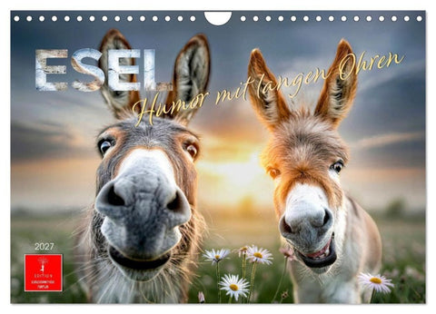 Esel - Humor mit langen Ohren (Wandkalender 2027 DIN A4 quer), CALVENDO Monatskalender