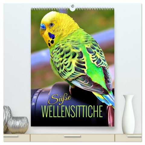 Süße Wellensittiche (hochwertiger Premium Wandkalender 2027 DIN A2 hoch), Kunstdruck in Hochglanz