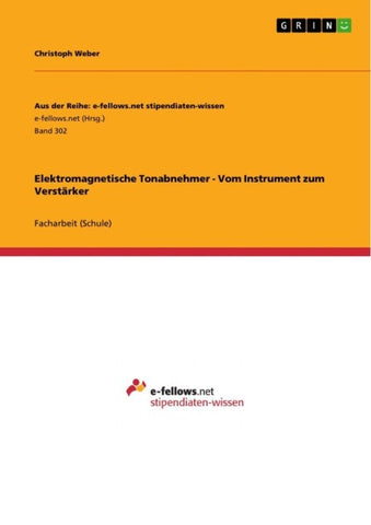 Elektromagnetische Tonabnehmer - Vom Instrument zum Verstärker