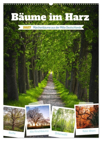 Bäume im Harz (Wandkalender 2027 DIN A2 hoch), CALVENDO Monatskalender