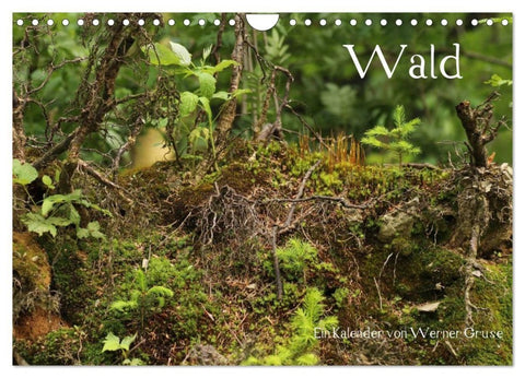 Wald (Wandkalender 2027 DIN A4 quer), CALVENDO Monatskalender