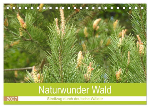 Naturwunder Wald (Tischkalender 2027 DIN A5 quer), CALVENDO Monatskalender