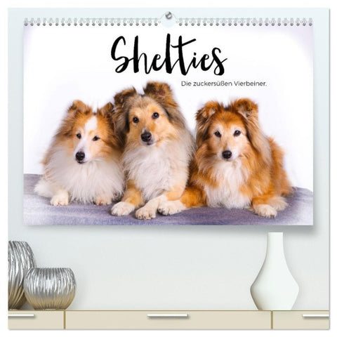 Shelties - Die zuckersüßen Vierbeiner. (hochwertiger Premium Wandkalender 2027 DIN A2 quer), Kunstdruck in Hochglanz