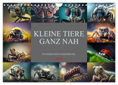 Kleine Tiere ganz nah (Wandkalender 2027 DIN A4 quer), CALVENDO Monatskalender