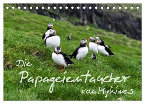 Die Papageientaucher von Mykines (Tischkalender 2026 DIN A5 quer), CALVENDO Monatskalender