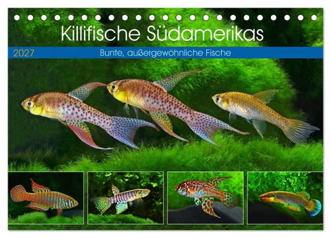 Killifische Südamerikas (Tischkalender 2027 DIN A5 quer), CALVENDO Monatskalender