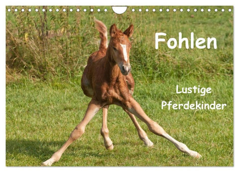 Fohlen - Lustige Pferdekinder (Wandkalender 2027 DIN A4 quer), CALVENDO Monatskalender