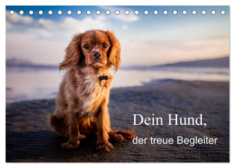 Dein Hund der treue Begleiter (Tischkalender 2027 DIN A5 quer), CALVENDO Monatskalender