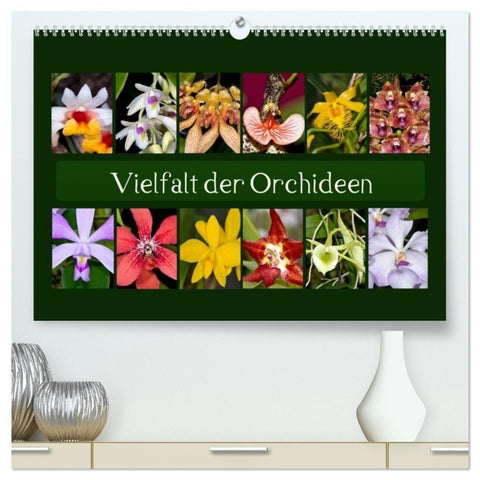 Vielfalt der Orchideen (hochwertiger Premium Wandkalender 2027 DIN A2 quer), Kunstdruck in Hochglanz