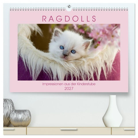 RAGDOLLS Impressionen aus der Kinderstube (hochwertiger Premium Wandkalender 2027 DIN A2 quer), Kunstdruck in Hochglanz