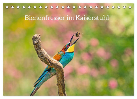 Bienenfresser im Kaiserstuhl (Tischkalender 2027 DIN A5 quer), CALVENDO Monatskalender