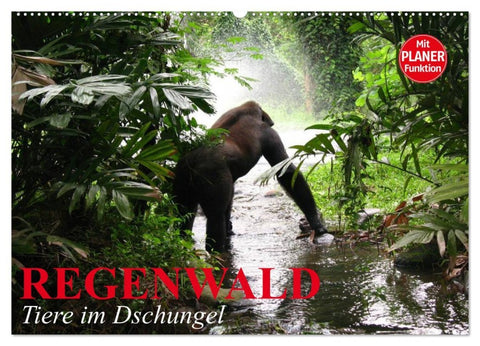 Regenwald. Tiere im Dschungel (Wandkalender 2026 DIN A2 quer), CALVENDO Monatskalender