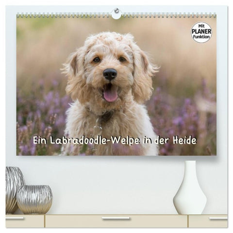 Ein Labradoodle-Welpe in der Heide (hochwertiger Premium Wandkalender 2027 DIN A2 quer), Kunstdruck in Hochglanz