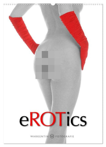 eROTics (Wandkalender 2027 DIN A2 hoch), CALVENDO Monatskalender