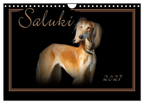 Saluki 2027 (Wandkalender 2027 DIN A4 quer), CALVENDO Monatskalender