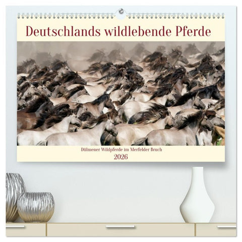 Deutschlands wildlebende Pferde (hochwertiger Premium Wandkalender 2026 DIN A2 quer), Kunstdruck in Hochglanz
